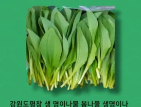 맘카페에서 적극 추천중인 생명이나물 베스트8