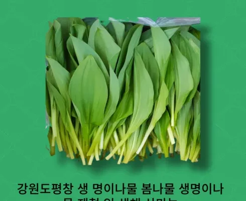 맘카페에서 적극 추천중인 생명이나물 베스트8