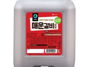 오늘의 핫딜상품 갈비양념 적극추천