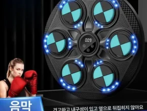 합리적인 구매를 위한 벽걸이복싱머신 베스트8