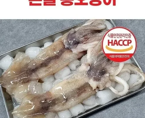 홈쇼핑에서 금방 품절된 손질통오징어 특대 150g16마리 적극추천