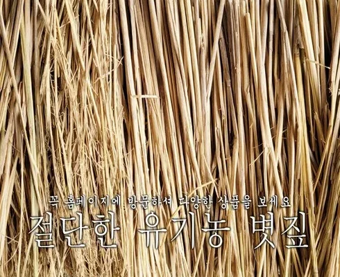 온라인에서 난리난 볏짚 베스트8