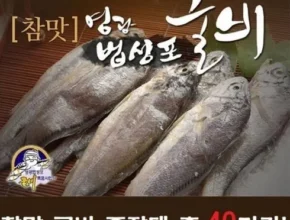 맘카페에서 입소문난 참맛 굴비 중장대 40마리 후기