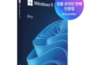 가성비 끝판왕 windows11fpp 후기