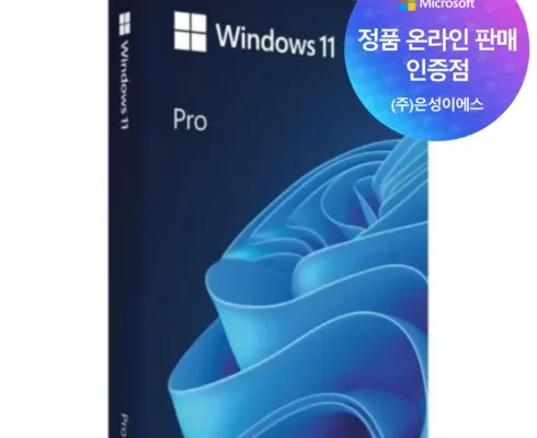 가성비 끝판왕 windows11fpp 후기