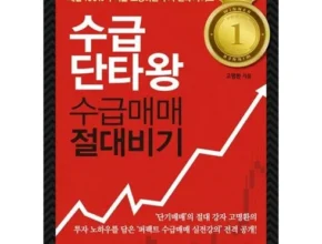 인플루언서들도 사용하는 수급단타왕책 적극추천