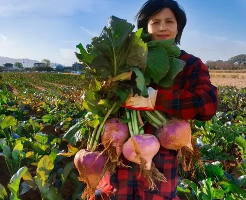 합리적인 구매를 위한 순무 베스트8